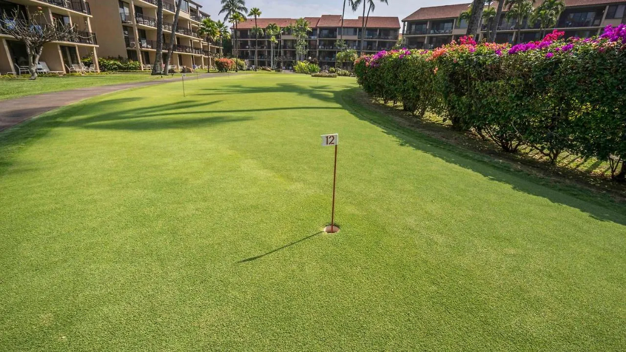 Papakea F-310 Villa Lahaina